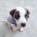 Profile Picture of David Cuellar (@david.cuellar.7374) on Facebook