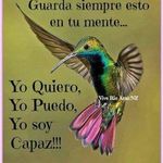 Profile Picture of Daniel Lopez Pregonero (@daniellopezpregonero) on Instagram