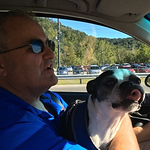 Profile Picture of Barry Hall (@barryhall3) on Flickr