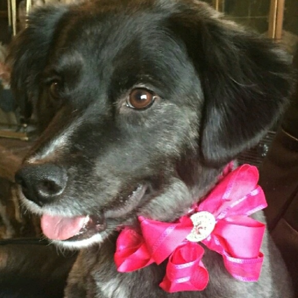 Profile Picture of Lisa Cahill (@dylisan) on Poshmark