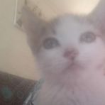 Profile Picture of Paul Rosales (@Paul-Rosales) on Facebook