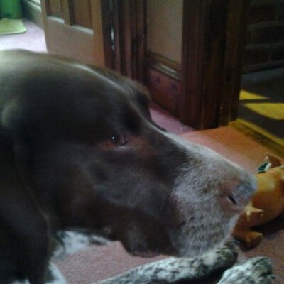Profile Picture of Ruby Ashton (@ashton_ruby) on Twitter