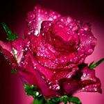 Profile Picture of Ramona Benson (@ramona.benson.908) on Instagram