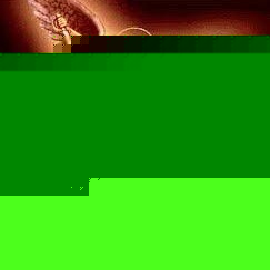 Profile Picture of John Nabil Kamal Awad (@moses-paul) on Myspace