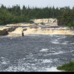 Profile Picture of David Brewer (@david_brewer13) on Instagram