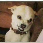 Profile Picture of chelle_chevy_chevy_chelle (@sharon_flash_back) on Instagram