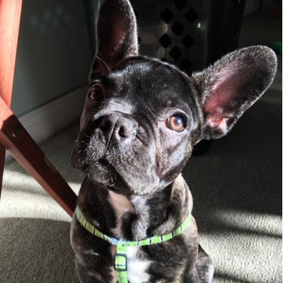 Profile Picture of Eric Waldron (@eric_waldon88) on Twitter