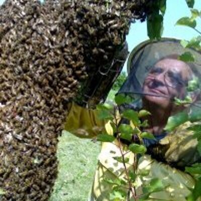 Profile Picture of Rosario Ros Conti (@sorbettoros4gh) on Twitter