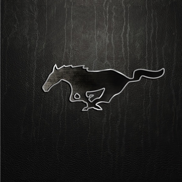 Profile Picture of Alexander Fernandez (@alexanderfer564) on Poshmark