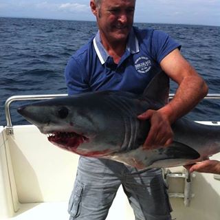 Profile Picture of Kevin Burns (@Kevin-Burns) on Facebook