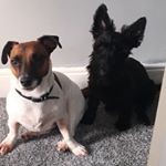 Profile Picture of Bobby & Lillie Wright (@bob_and_lils_adventures) on Instagram