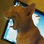 Profile Picture of Burián Péter Donát (@_burian.donat_) on Instagram