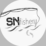 Profile Picture of Sean Newlin (@snfishery) on Instagram