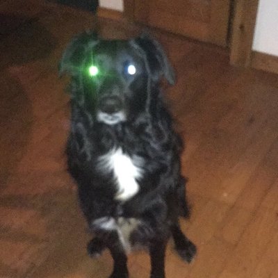 Profile Picture of Andy_Stacy (@Andystacy7) on Twitter