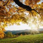 David Landcaster - Facebook Profile Picture of David Landcaster (@David-Landcaster) on Facebook