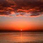 D Samar Hamadeh - Instagram Profile Picture of D Samar Hamadeh (@dsamarhamadeh) on Instagram