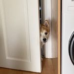 Profile Picture of Liz Allen (@ginlizzie2) on Instagram