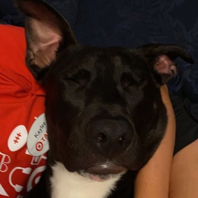 Profile Picture of Amac (@AustinMcleod22) on Twitter