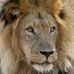 Profile Picture of Paolo Acampora (@Paolo-Acampora) on Facebook