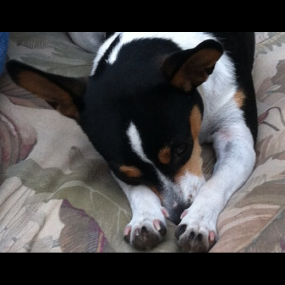 Profile Picture of Beth Boyd (@roxie22) on Poshmark