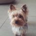 Profile Picture of Daniel Spivakovsky (@daniel.spivakovsky.9) on Facebook