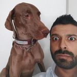 Profile Picture of Carlos Armando (@iberri23) on Instagram