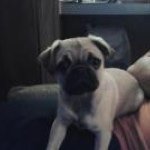 Profile Picture of Dawn Epperson (@dawne2k13) on Instagram