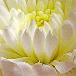 Profile Picture of Gregory Edmondson (@gregoryedmondson) on Instagram