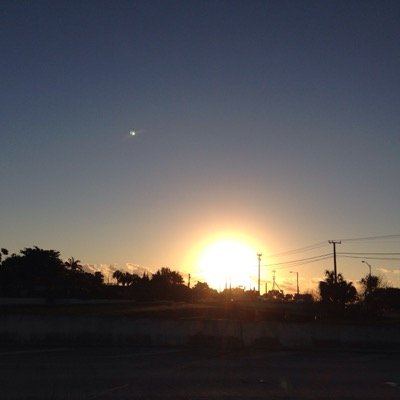 Profile Picture of Amal Owais (@amalhanna60) on Twitter