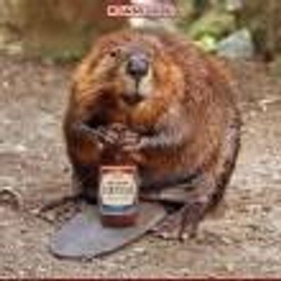 Tony Cortina - Twitter Profile Picture of Tony Cortina (@tonycortina1) on Twitter