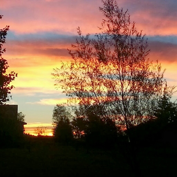 Profile Picture of Nichole Blarek (@nicholeb1106) on Poshmark