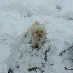 Profile Picture of Robert Shatto (@robertshatto) on Instagram