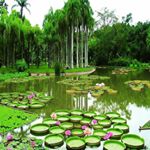 Brian Ishmael - Instagram Profile Picture of Brian Ishmael (@brian.ishmael) on Instagram