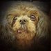 Profile Picture of Terry Zerr (@terry.zerr.1) on Facebook