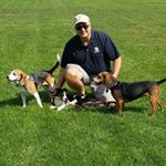 Bob Corcoran - Instagram Profile Picture of Bob Corcoran (@corcoran_bob) on Instagram