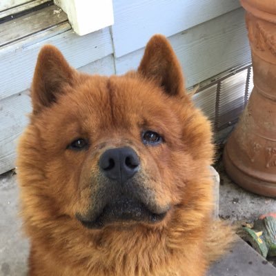 Profile Picture of David Mascorro (@mascorroprint) on Twitter