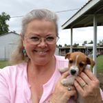 Profile Picture of Wanda Shiflett (@silverbywanda) on Instagram