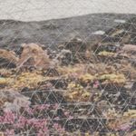 Profile Picture of Erin Josephson-Laidlaw (@erincjl) on Instagram