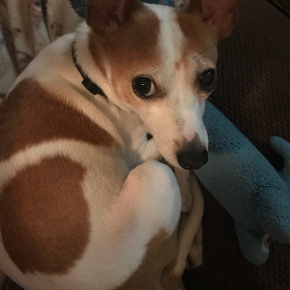 Profile Picture of Amber Andrade (@juicebox_lady) on Poshmark