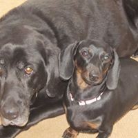 Profile Picture of Sandra Curry (@sandra-curry-14) on Quora