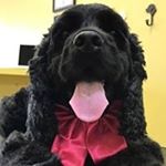 Profile Picture of Pam Hands-Hill (@pamhandshill) on Instagram