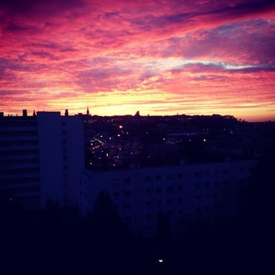 Profile Picture of Charlotte Haase (@HaaseCharlotte) on Twitter