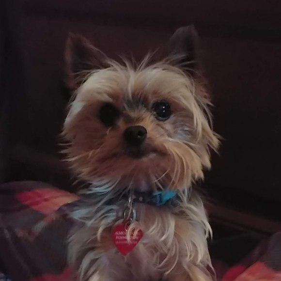 Profile Picture of Kim Gralak (@kag114) on Poshmark