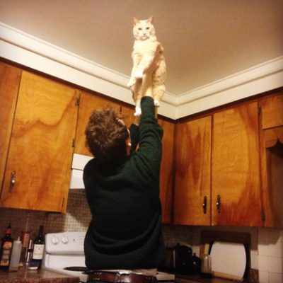 Profile Picture of Daniel Gouthro (@GouthroDaniel) on Twitter