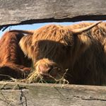 Profile Picture of Gary Fishwick (@garyfishwick) on Instagram