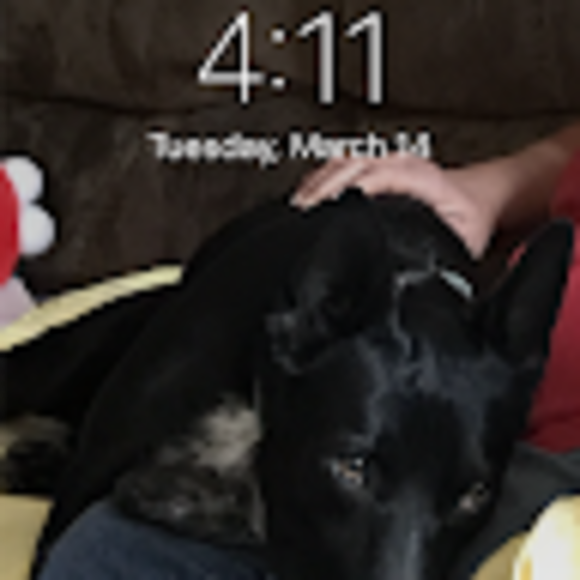 Profile Picture of Megan Haynes (@meganhaynes96) on Poshmark