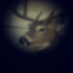 Profile Picture of Mark Neilson (@mark_neilson_outdoors) on Instagram