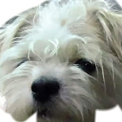 Profile Picture of Steve Grady (@stevegrady2591) on Youtube