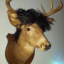 Profile Picture of Eric Connolly (@AirCannoli) on Twitter