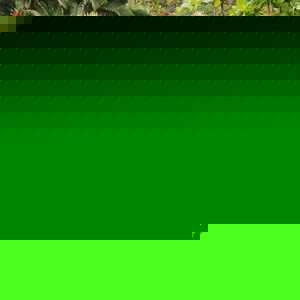 Profile Picture of Brijesh Amin (@151634746) on Myspace